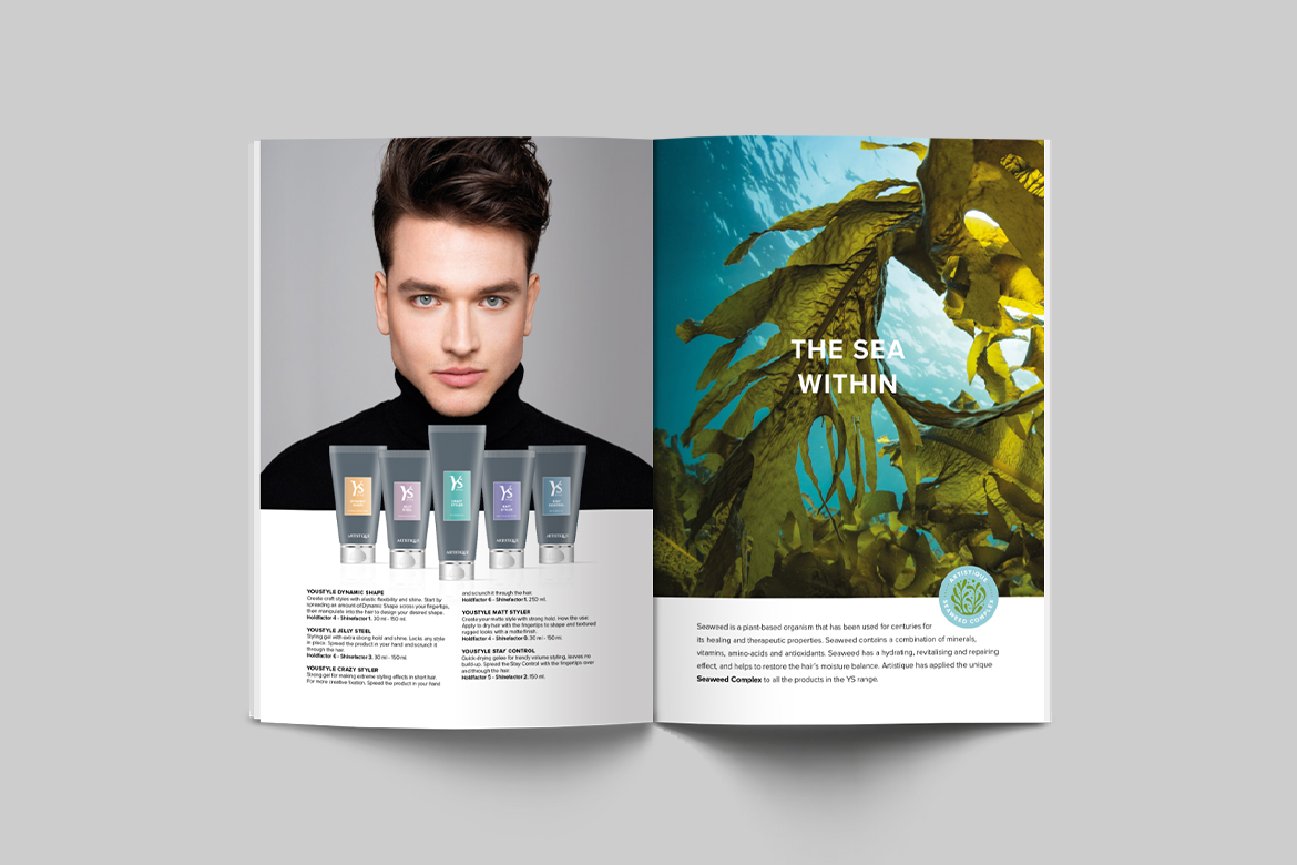 Brochure YS